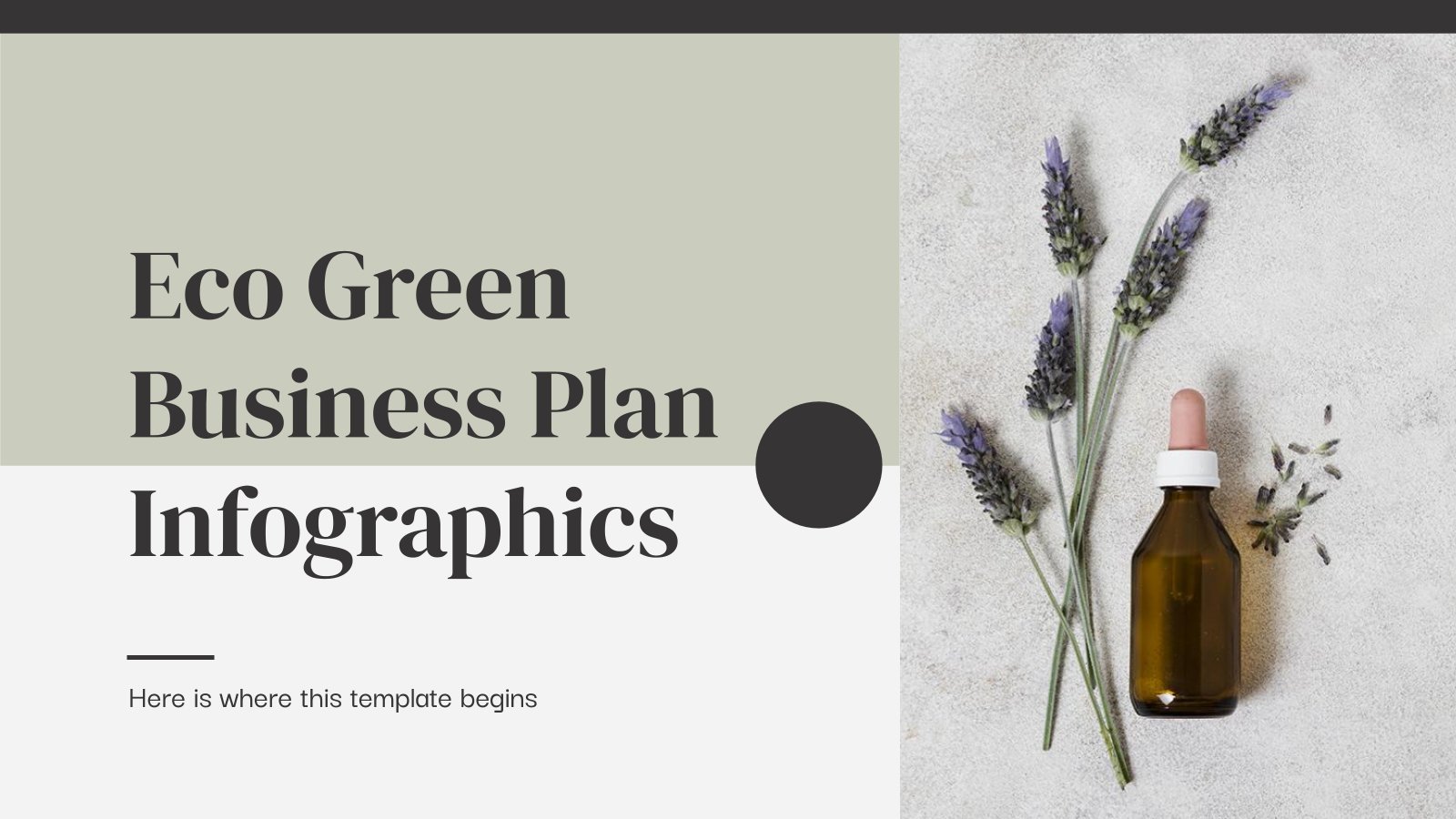 Plantilla de presentación Infografías para plan de negocio ecológico